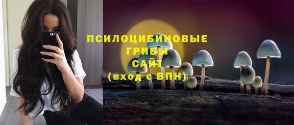 метамфетамин Богданович