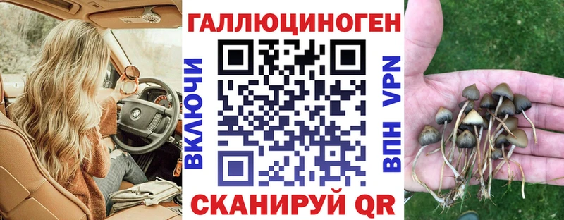 Купить закладки  Коряжма  Галлюциногенные грибы мухоморы 